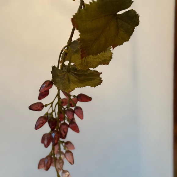 Vines of grapes - Picture 8 of 8